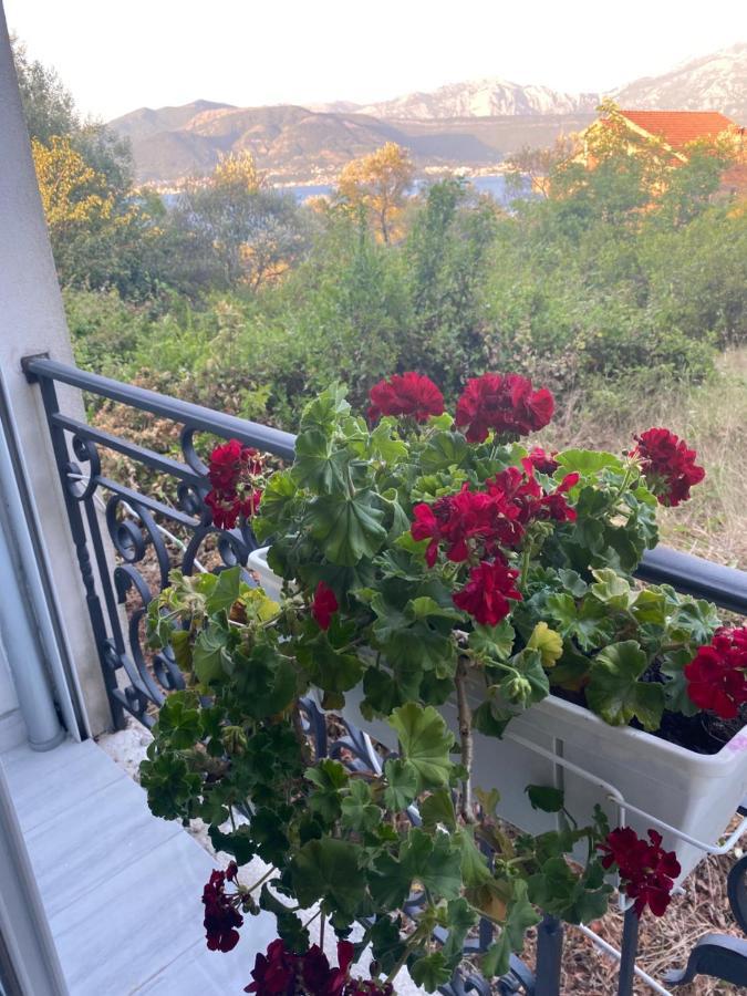 Villa Mare Apartments Tivat Exterior photo
