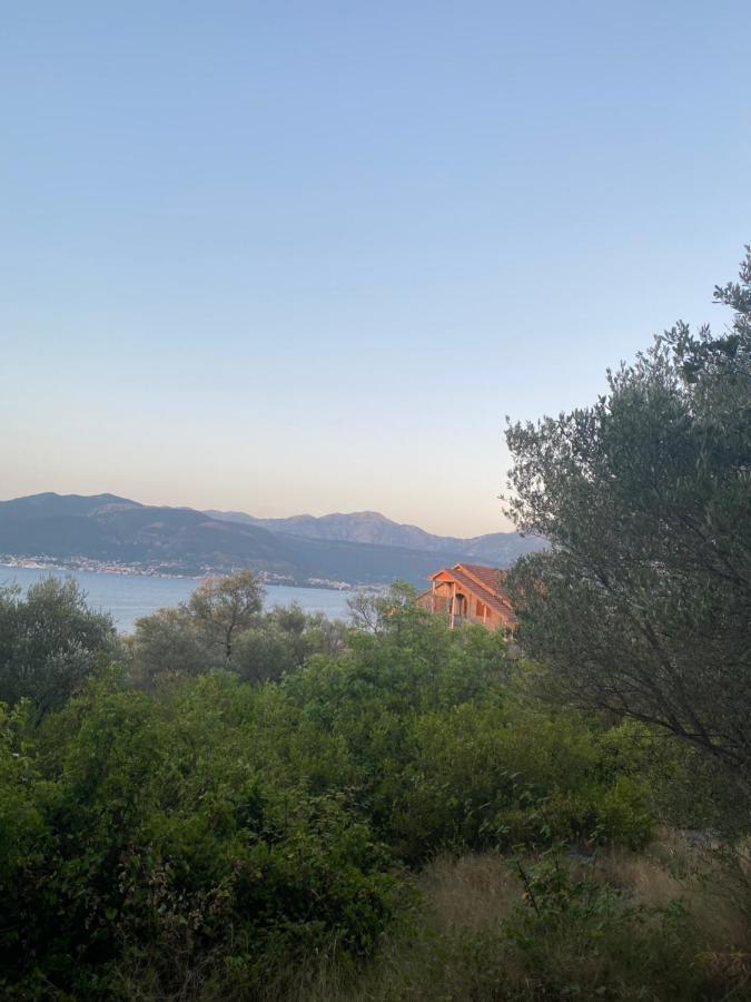 Villa Mare Apartments Tivat Exterior photo