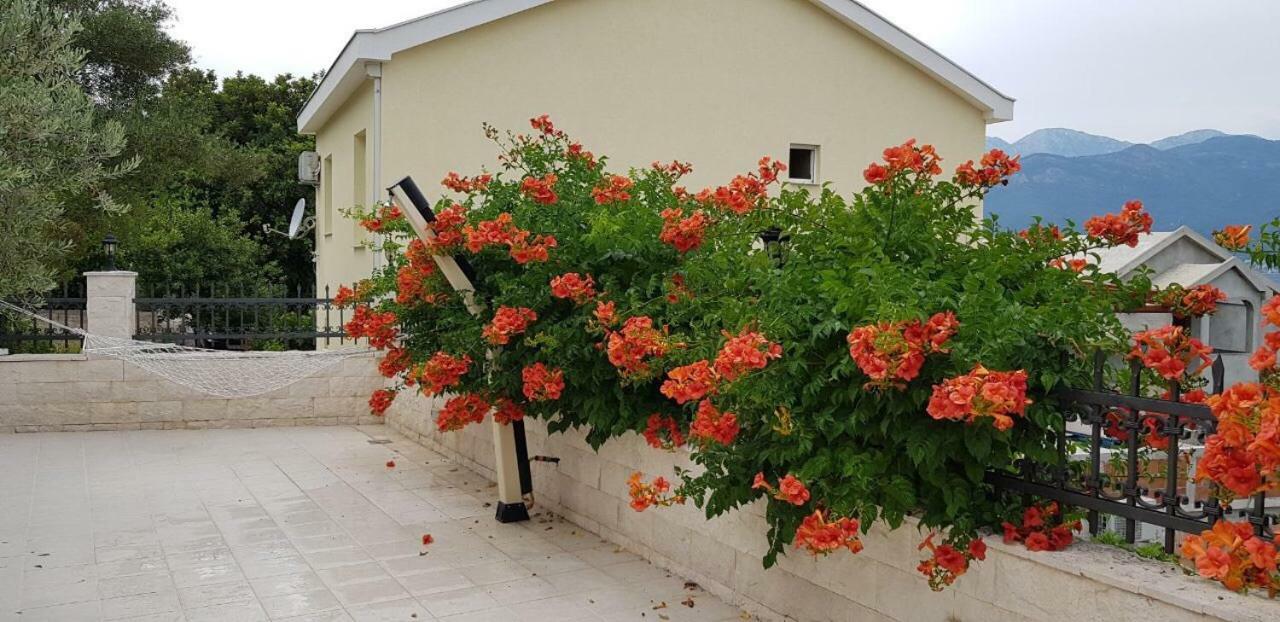 Villa Mare Apartments Tivat Exterior photo